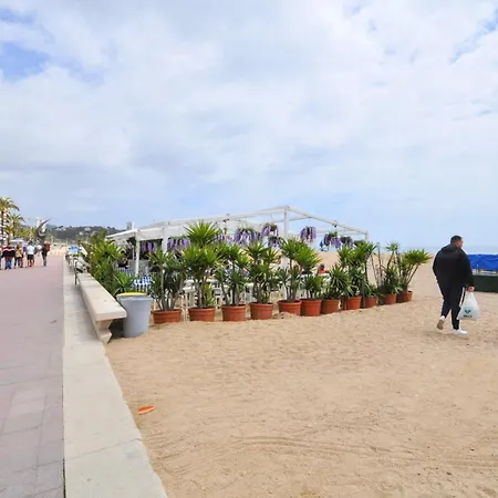 דירה Verano Go2lloret