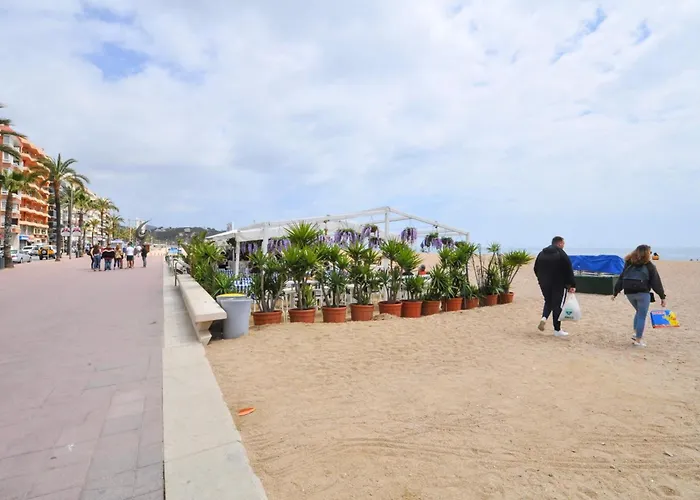 Apartamento Verano Go2lloret